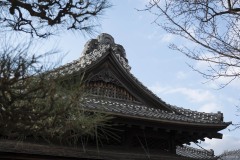 弘道館 見上げた破風