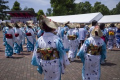 菖蒲まつりの踊り手