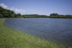 水元公園 小合溜