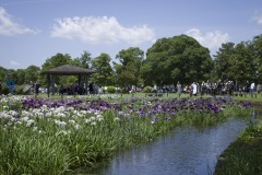 水元公園