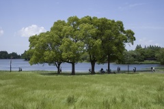 水元公園