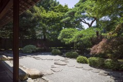 一茶双樹記念館 白砂と飛石の庭