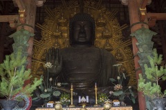 東大寺 盧舎那仏像