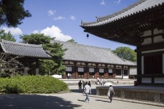 唐招提寺 伽藍