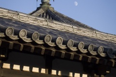 法隆寺 夢殿 路盤宝珠