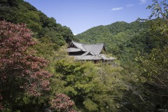 長谷寺 入母屋造りの屋根