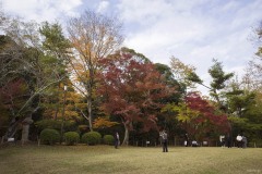 成田山公園 紅葉の広場