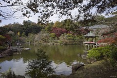 成田山公園 池と対岸の四阿