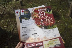 紅葉まつりのパンフレット