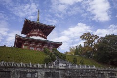 成田山新勝寺 平和の大塔 見上げた塔