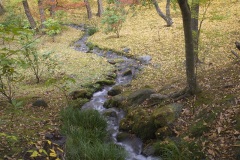 成田山公園