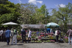 境内の花屋
