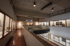 野田市郷土博物館 手すりの曲線
