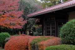 晩香廬と庭