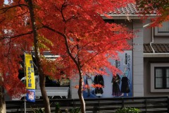 飛鳥山おみやげ館近くの紅葉