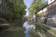 八幡堀 石垣沿いの遊歩道