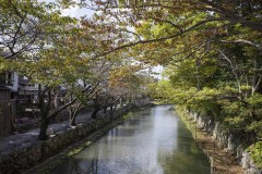 八幡堀 紅葉の水路