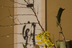 床の間の掛軸と生花