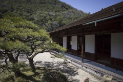 掬月亭 縁側と松