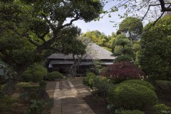 旧齋藤邸 アプローチ