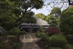 旧齋藤邸 アプローチ