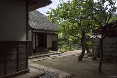 旧河原家住宅 敷地の眺め