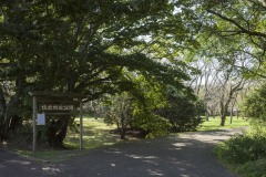 佐倉城址公園