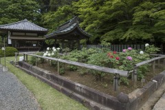 観福寺