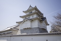 関宿城 見上げた天守