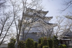 関宿城 桜ごしの天守
