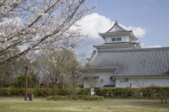 関宿城 桜と城壁