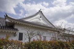 関宿城 破風と桜