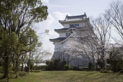 関宿城と桜