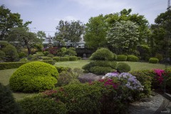 邃渓園 刈込とツツジ