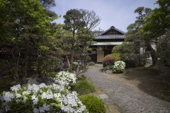 山本亭 玄関へのアプローチ