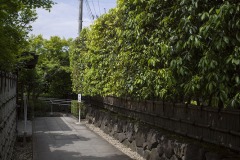 山本亭 生垣沿いの小径