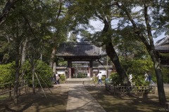 金乗院 山門への参道