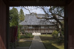 山門ごしの本堂