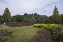 花ファンタジア