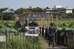 蓮見デッキ 風鈴と見物客