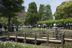 しょうぶ沼公園 木道と園路