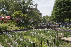 しょうぶ沼公園
