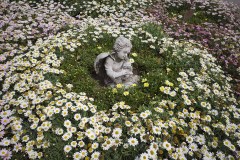 花と石像