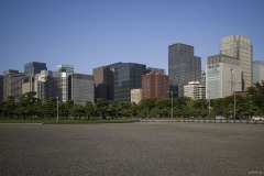 丸の内ビル群