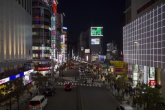 新宿の街