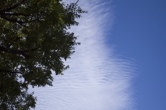 鱗雲