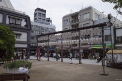 とげぬき地蔵尊の提灯列