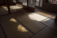 座敷の畳に落ちる光