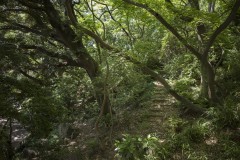 田園調布せせらぎ公園