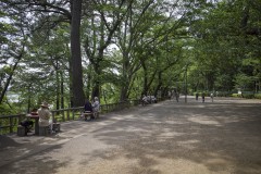 多摩川台公園